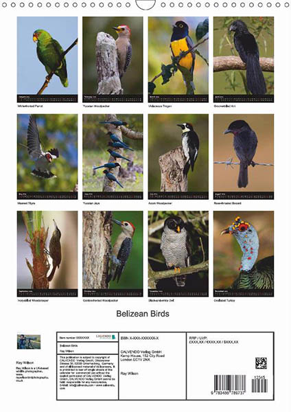 2016 calendars for sale ray wilson bird wildllife 2016 calendars for sale ray wilson bird wildllife